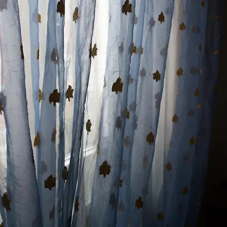 10分钟住宿加早餐旅馆 4* 维罗纳